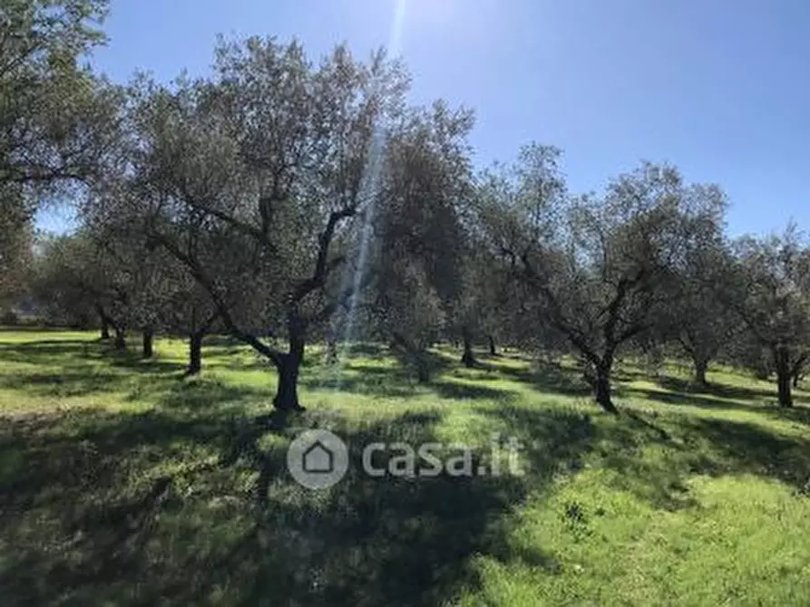 Immagine 1 di Terreno agricolo in vendita  in Via di Castelleone a Deruta