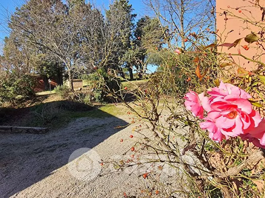 Immagine 3 di Agriturismo in vendita  a Castiglione Del Lago