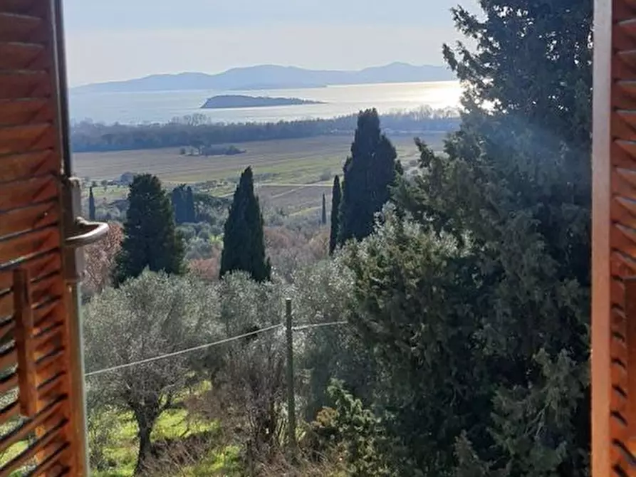 Immagine 27 di Castello in vendita  in Via degli Olivi a Passignano Sul Trasimeno