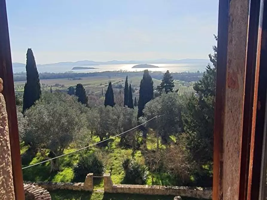 Immagine 34 di Castello in vendita  in Via degli Olivi a Passignano Sul Trasimeno