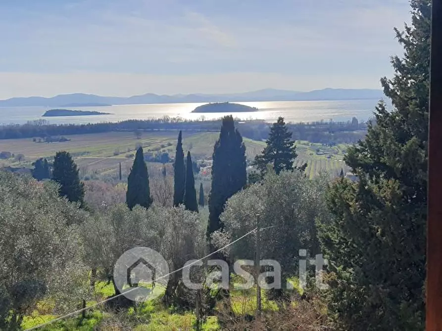 Immagine 35 di Castello in vendita  in Via degli Olivi a Passignano Sul Trasimeno