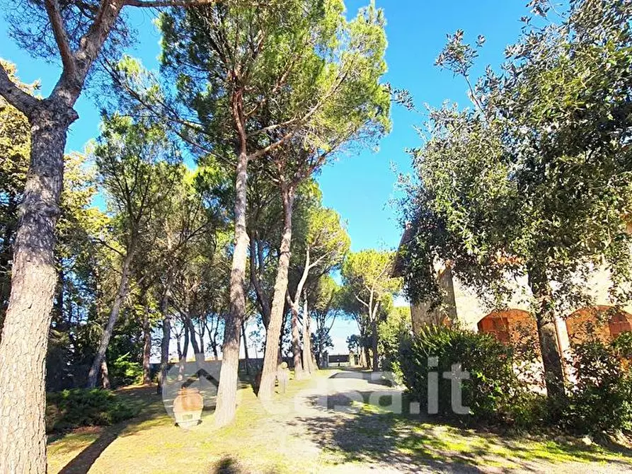 Immagine 13 di Villa in vendita  a Castiglione Del Lago