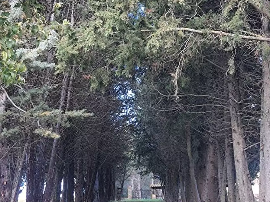 Immagine 26 di Villa in vendita  a Castiglione Del Lago