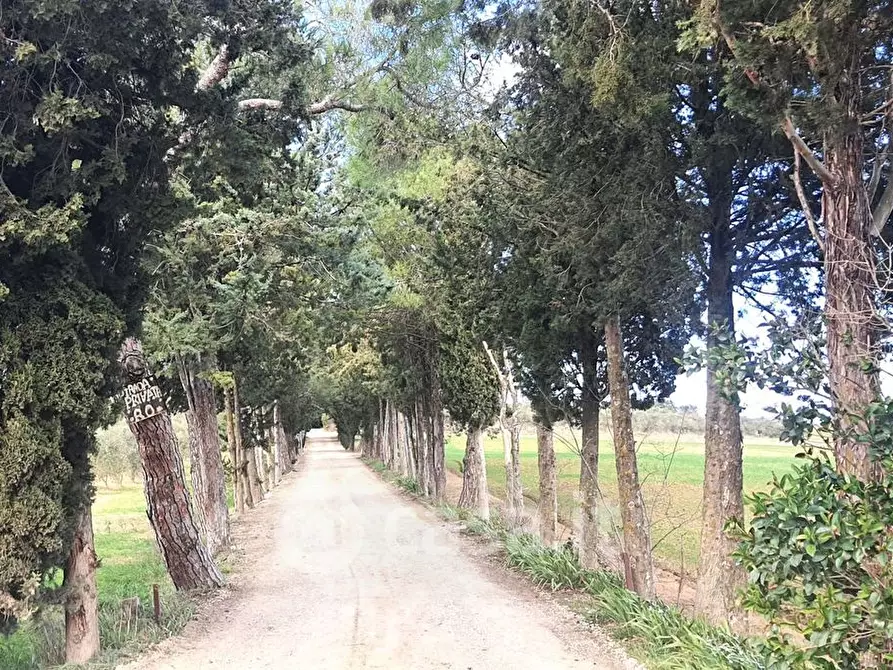 Immagine 29 di Villa in vendita  a Castiglione Del Lago