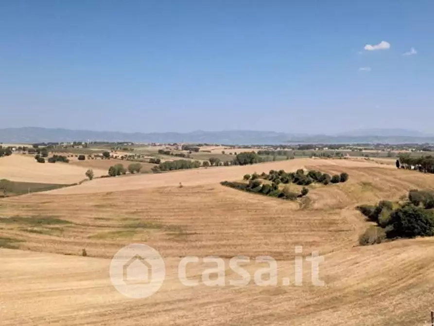 Immagine 37 di Villa in vendita  a Castiglione Del Lago