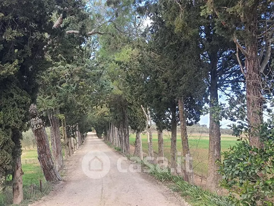 Immagine 40 di Villa in vendita  a Castiglione Del Lago