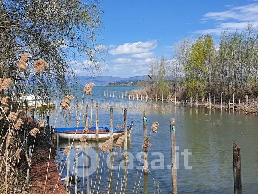 Immagine 5 di Terreno agricolo in vendita  a Tuoro Sul Trasimeno