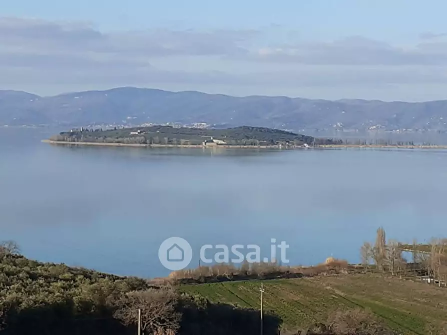 Immagine 7 di Terreno agricolo in vendita  a Tuoro Sul Trasimeno