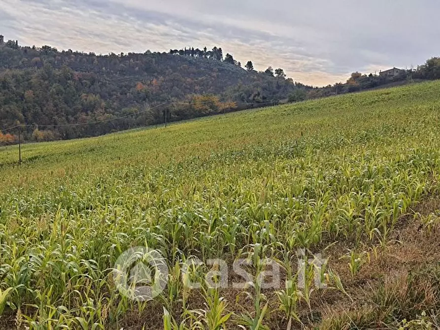 Immagine 1 di Terreno agricolo in vendita  a Trevi