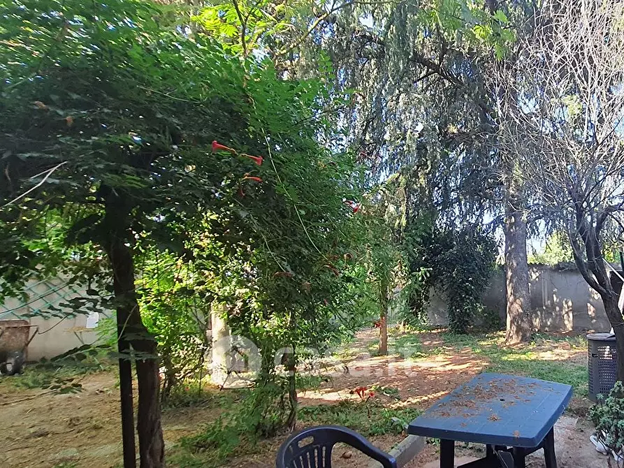 Immagine 19 di Rustico / casale in vendita  a Panicale