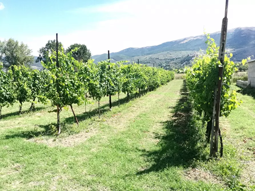 Immagine 1 di Terreno agricolo in vendita  in via montefalco a Foligno