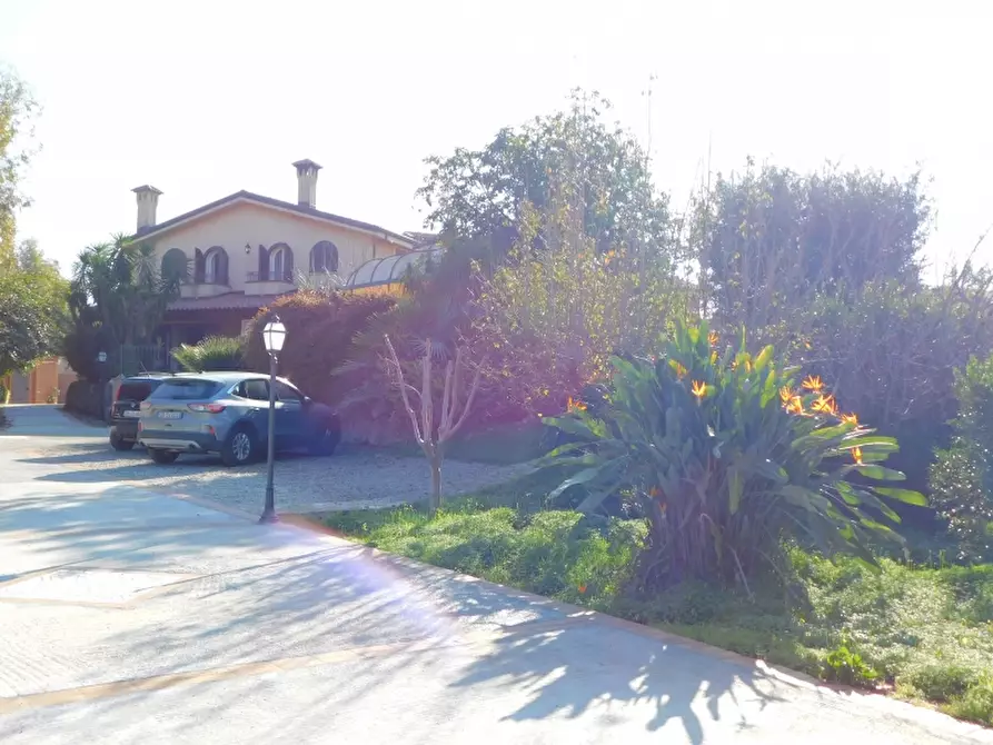 Immagine 6 di Appartamento in vendita  a Reggio Di Calabria