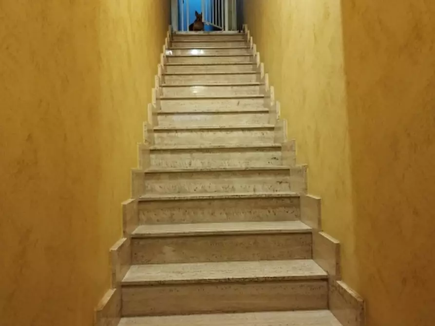 Immagine 19 di Casa indipendente in vendita  a Solarino