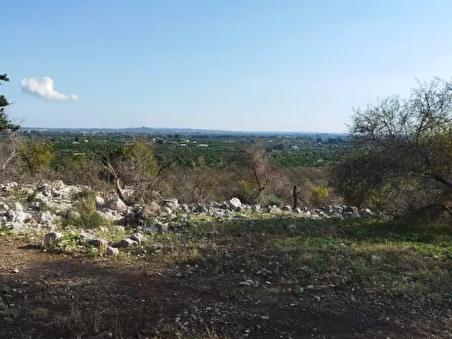 Immagine 1 di Terreno agricolo in vendita  a Siracusa