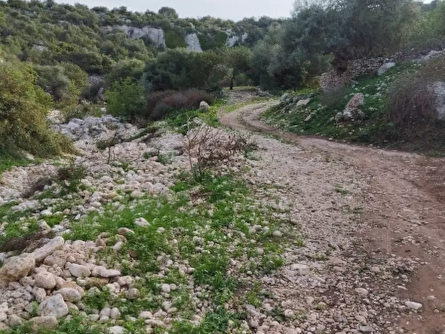 Immagine 1 di Terreno agricolo in vendita  a Floridia