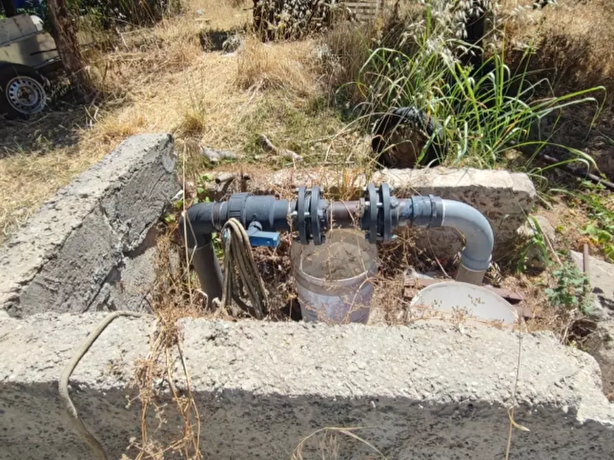 Immagine 9 di Terreno agricolo in vendita  in contrada Mirichicchio a Floridia