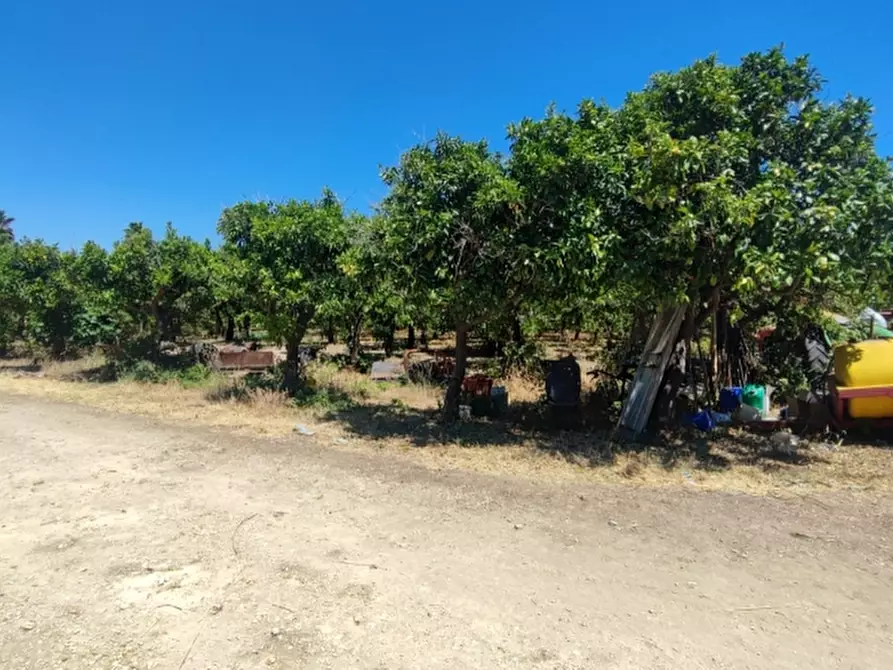 Immagine 6 di Terreno agricolo in vendita  in contrada Mirichicchio a Floridia