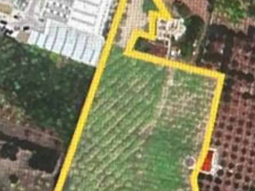 Immagine 7 di Terreno agricolo in vendita  in contrada Mirichicchio a Floridia