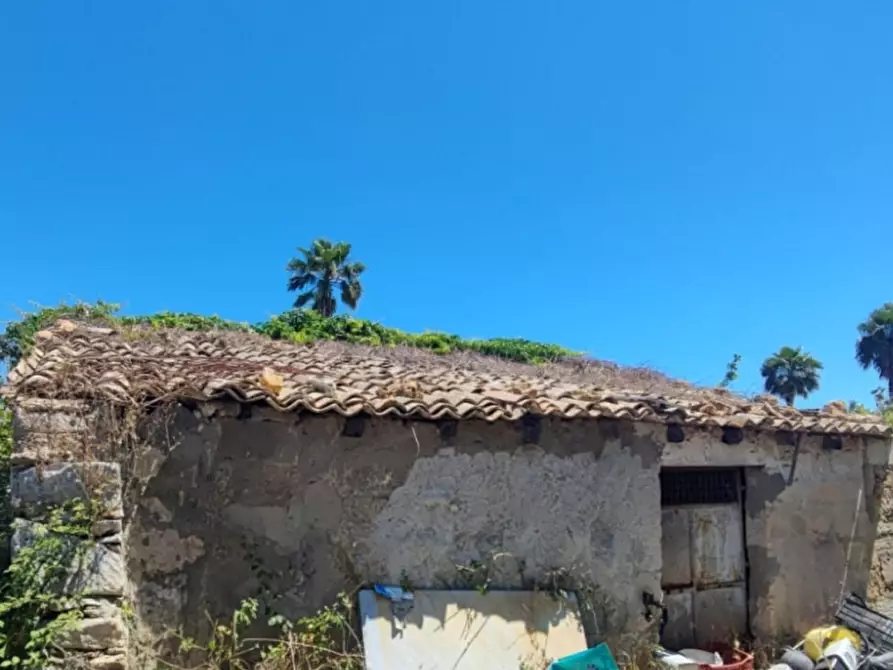Immagine 8 di Terreno agricolo in vendita  in contrada Mirichicchio a Floridia