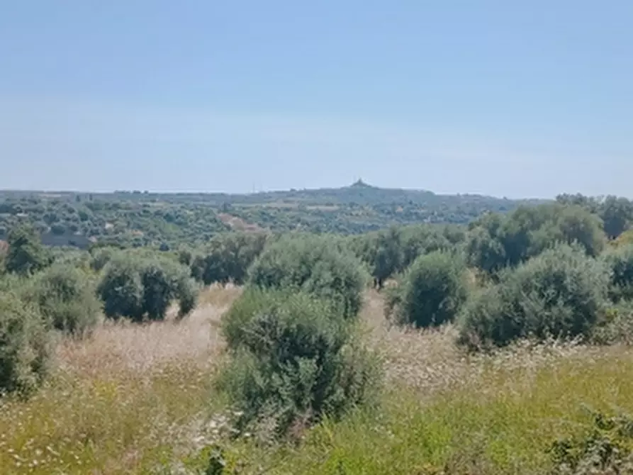 Immagine 4 di Terreno agricolo in vendita  in Contrada Muraglia Mele a Floridia