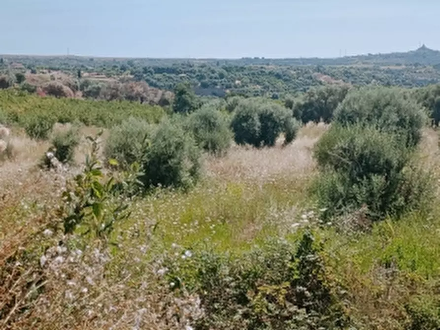 Immagine 5 di Terreno agricolo in vendita  in Contrada Muraglia Mele a Floridia