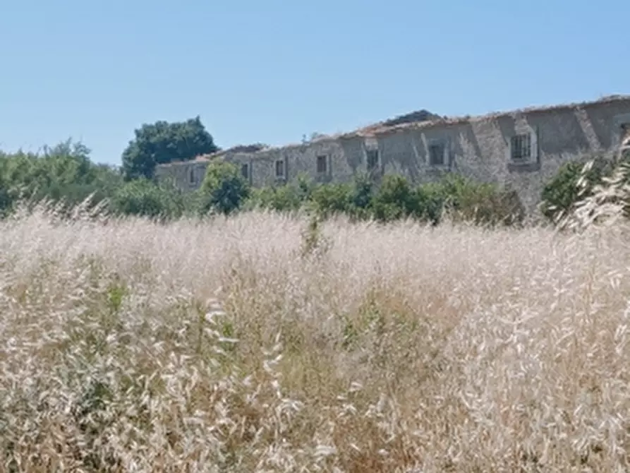 Immagine 1 di Terreno agricolo in vendita  in Contrada Muraglia Mele a Floridia