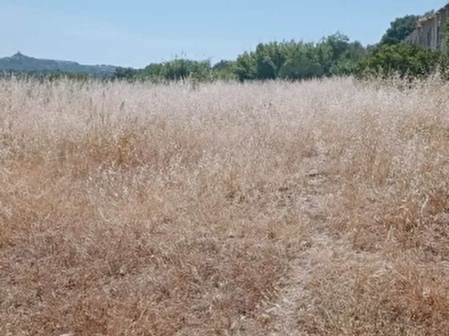 Immagine 7 di Terreno agricolo in vendita  in Contrada Muraglia Mele a Floridia