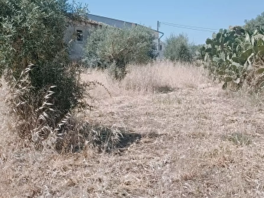 Immagine 3 di Terreno agricolo in vendita  in Contrada Muraglia Mele a Floridia