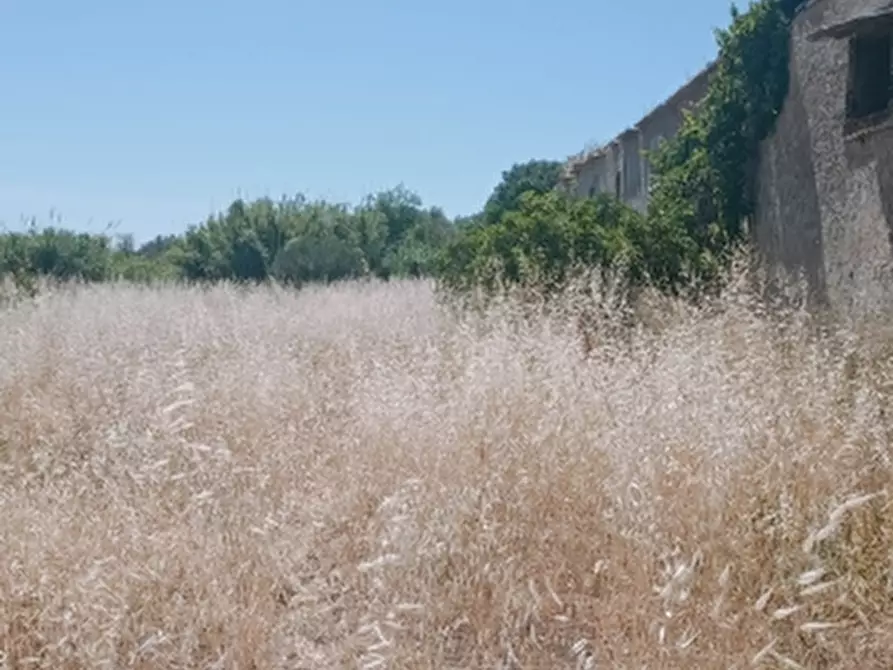 Immagine 2 di Terreno agricolo in vendita  in Contrada Muraglia Mele a Floridia