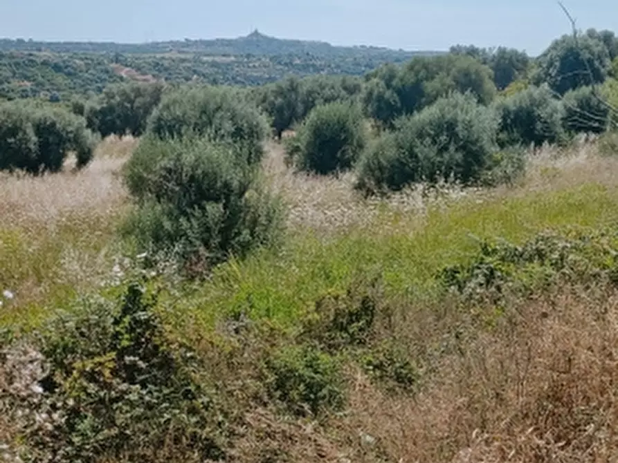 Immagine 6 di Terreno agricolo in vendita  in Contrada Muraglia Mele a Floridia