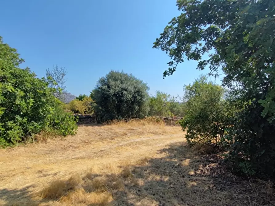 Immagine 3 di Terreno agricolo in vendita  in Contrada Taverna a Floridia