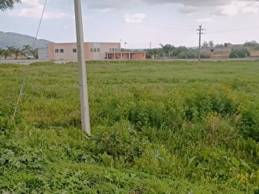 Immagine 4 di Terreno industriale in affitto  in Strada statale 124 a Solarino