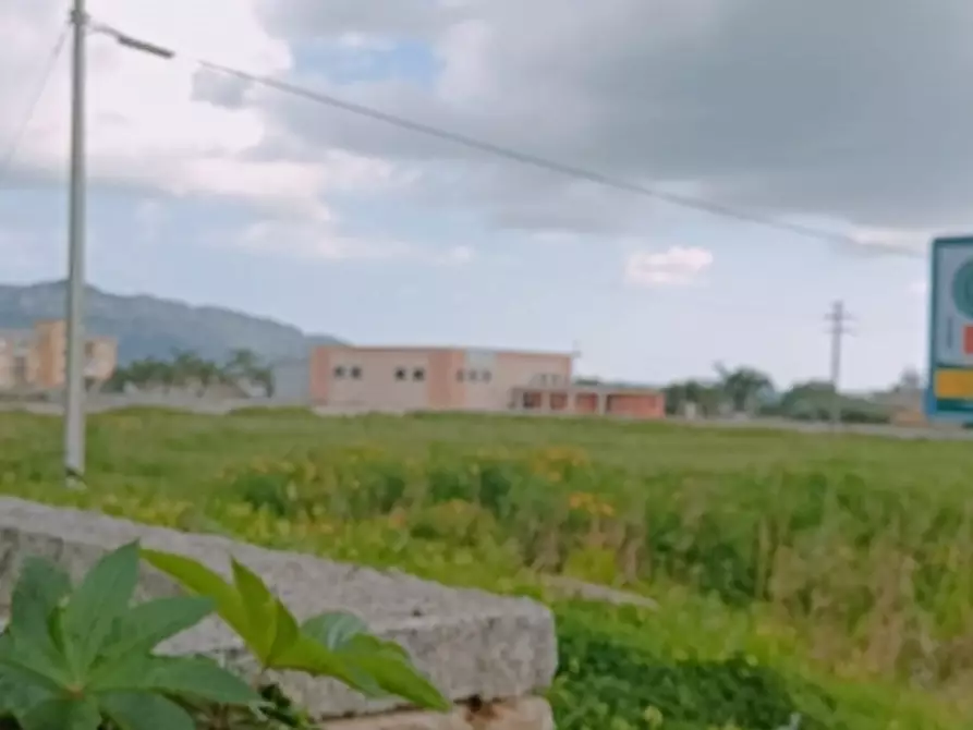 Immagine 6 di Terreno industriale in affitto  in Strada statale 124 a Solarino