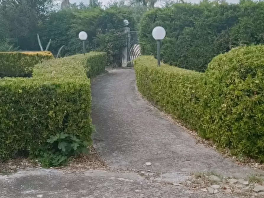 Immagine 4 di Villa in vendita  a Solarino