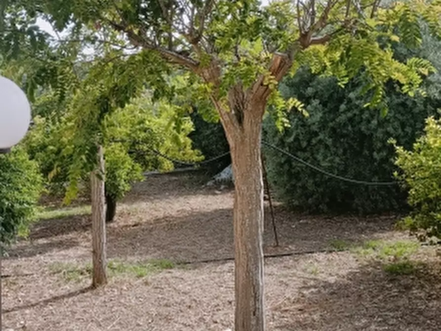 Immagine 31 di Villa in vendita  a Solarino