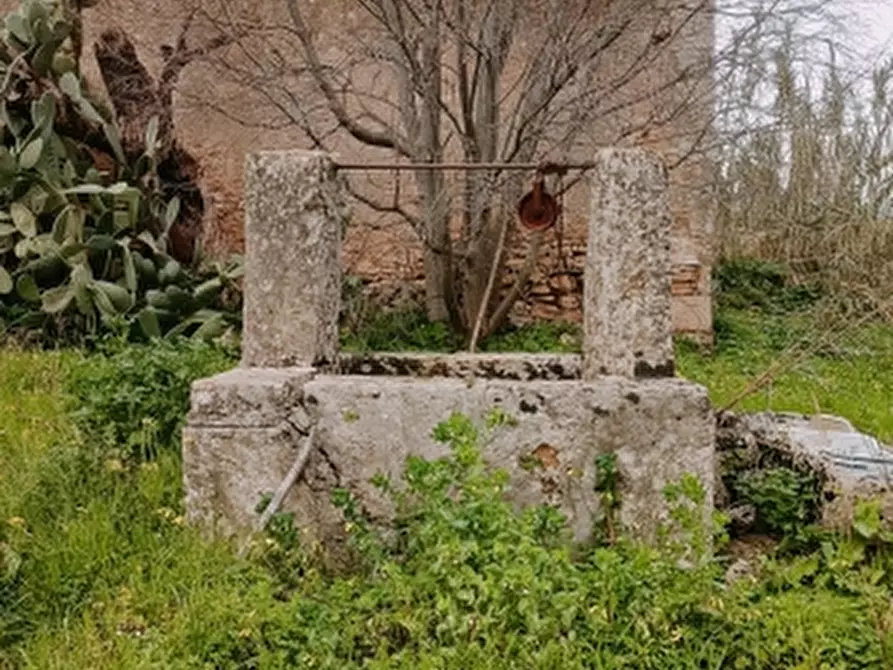 Immagine 2 di Terreno agricolo in vendita  in Contrada Muraglia di miele a Floridia