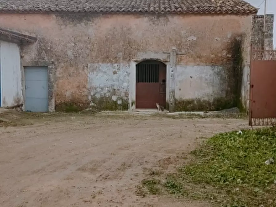 Immagine 3 di Terreno agricolo in vendita  in Contrada Muraglia di miele a Floridia
