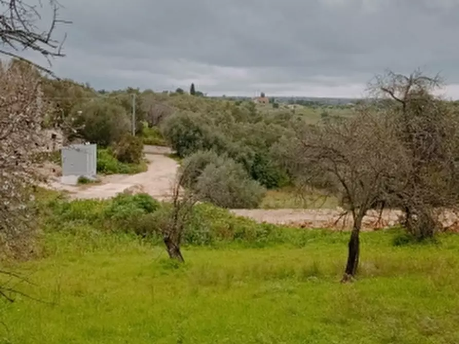 Immagine 8 di Terreno agricolo in vendita  in Contrada Muraglia di miele a Floridia