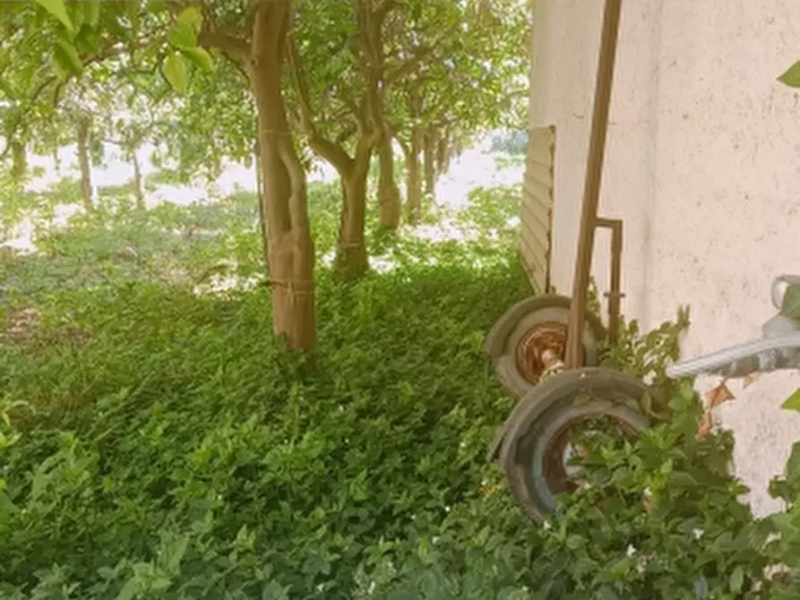 Immagine 23 di Villa in vendita  in Strada Finaiti 2 a Floridia