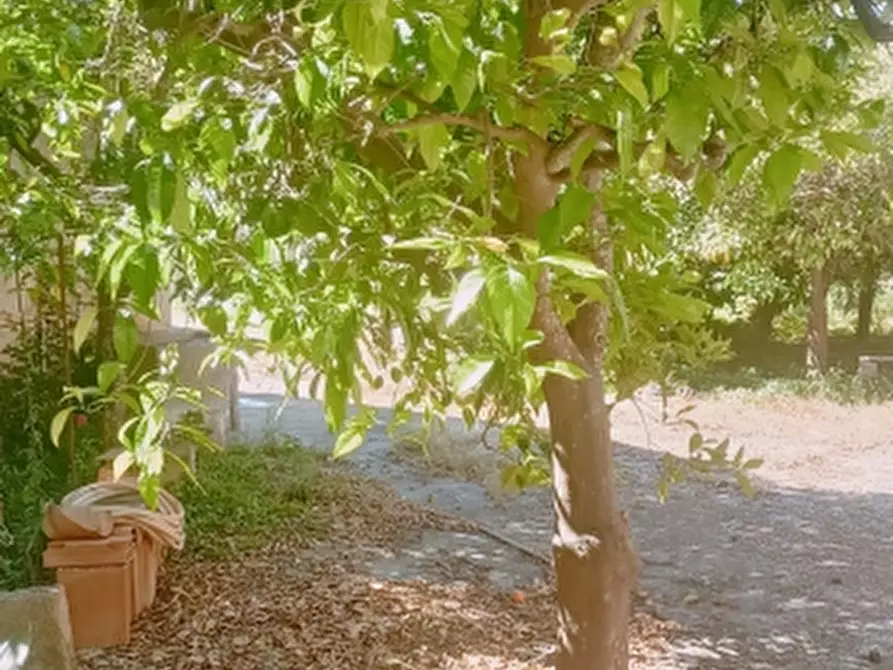 Immagine 24 di Villa in vendita  in Strada Finaiti 2 a Floridia