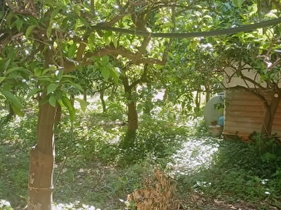 Immagine 25 di Villa in vendita  in Strada Finaiti 2 a Floridia