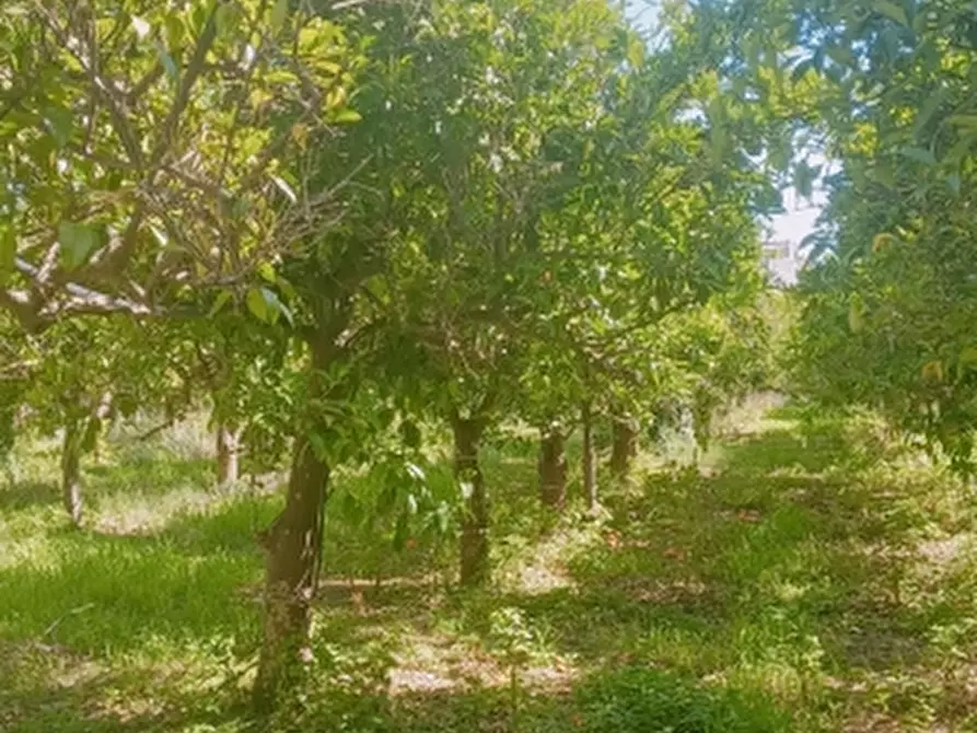 Immagine 26 di Villa in vendita  in Strada Finaiti 2 a Floridia