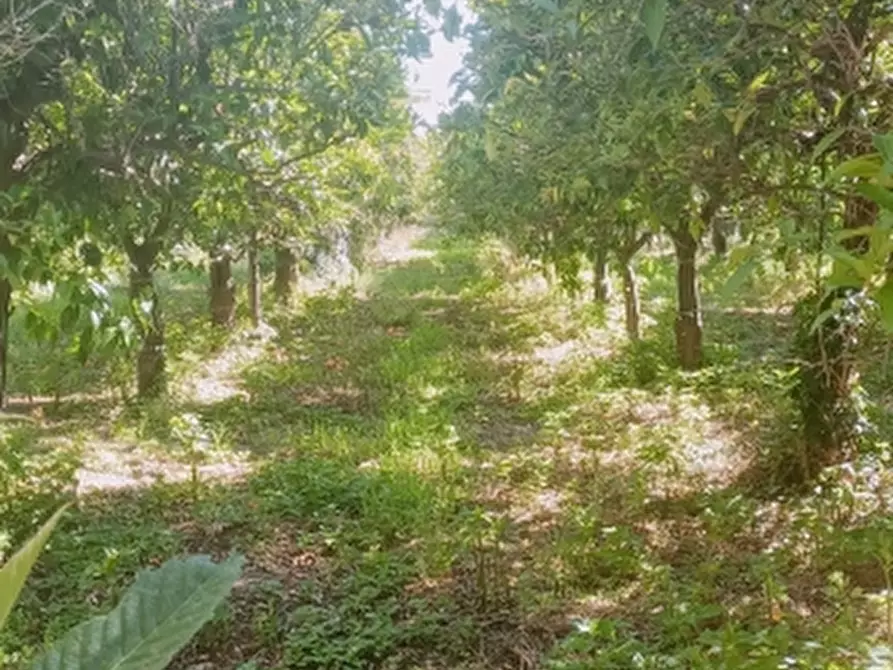 Immagine 27 di Villa in vendita  in Strada Finaiti 2 a Floridia