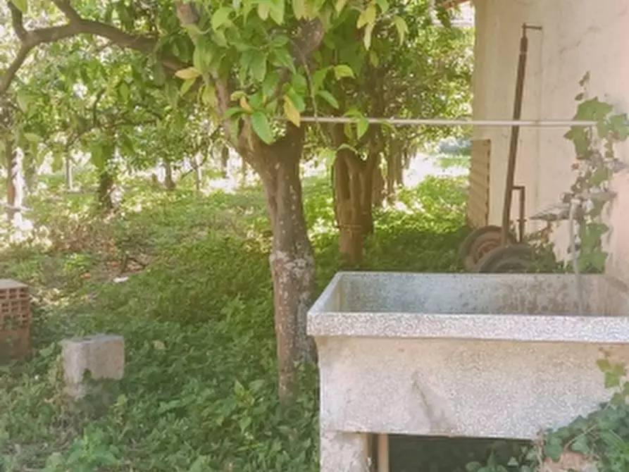 Immagine 32 di Villa in vendita  in Strada Finaiti 2 a Floridia