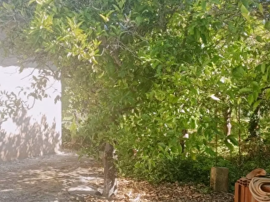 Immagine 33 di Villa in vendita  in Strada Finaiti 2 a Floridia