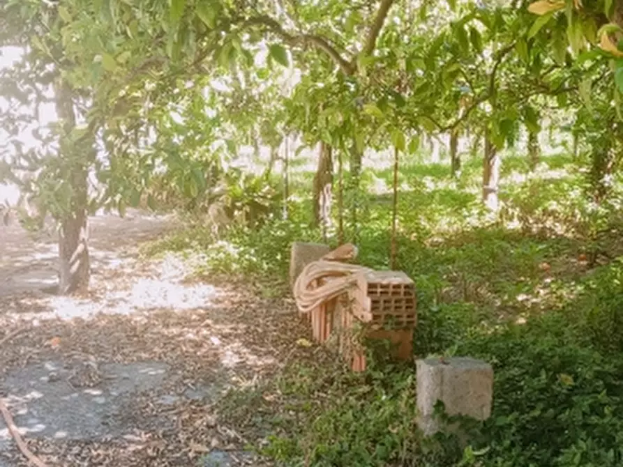 Immagine 34 di Villa in vendita  in Strada Finaiti 2 a Floridia