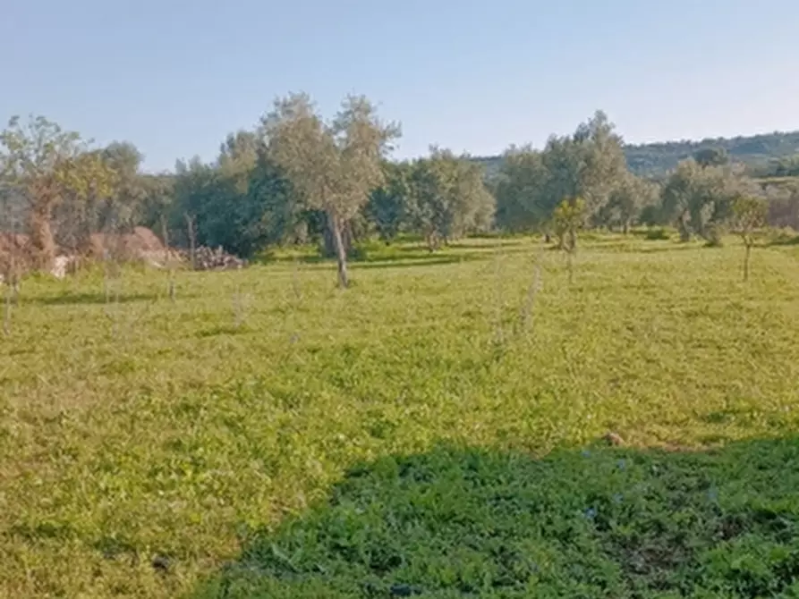 Immagine 16 di Terreno agricolo in vendita  in Contrada Monastri alto trav Bibbia 34 a Floridia