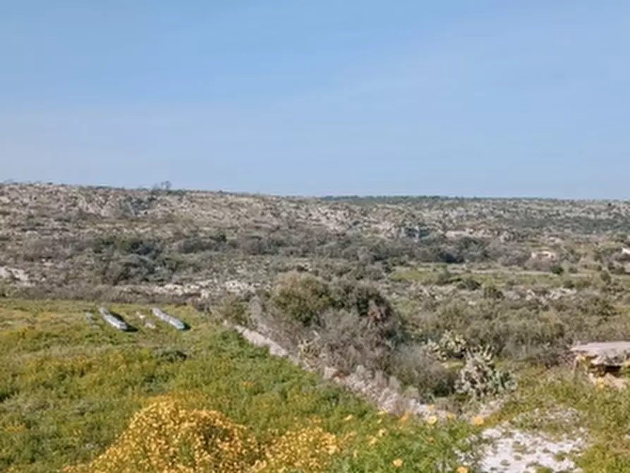 Immagine 18 di Terreno agricolo in vendita  in Contrada Monastri alto trav Bibbia 34 a Floridia