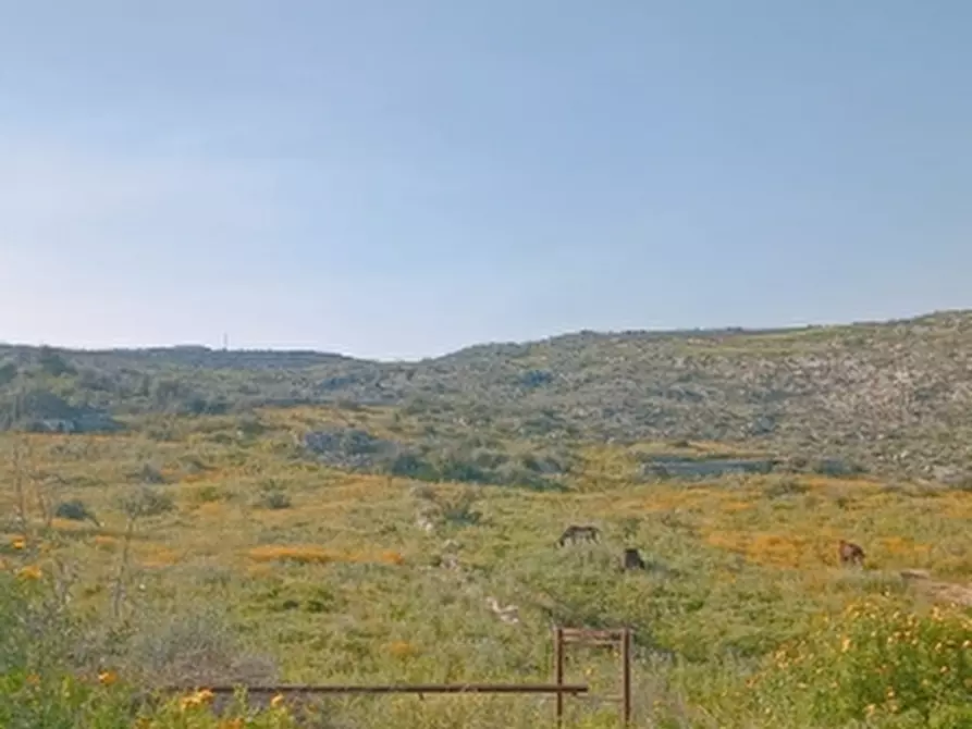 Immagine 21 di Terreno agricolo in vendita  in Contrada Monastri alto trav Bibbia 34 a Floridia