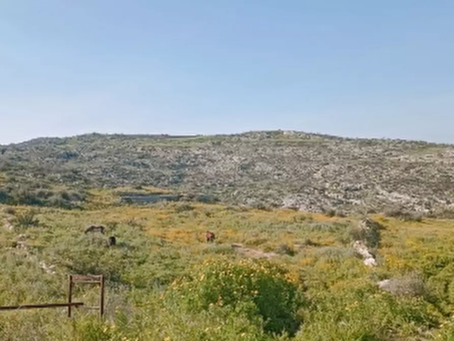 Immagine 22 di Terreno agricolo in vendita  in Contrada Monastri alto trav Bibbia 34 a Floridia